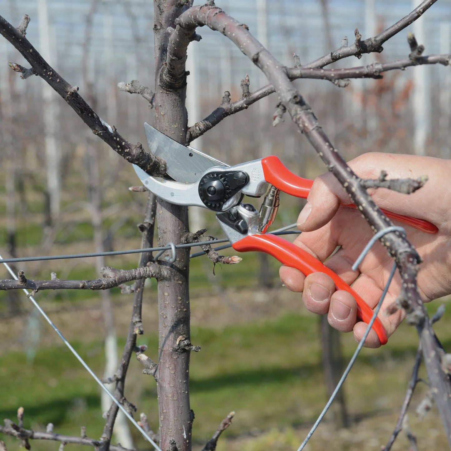 FELCO 2 Hand Pruner