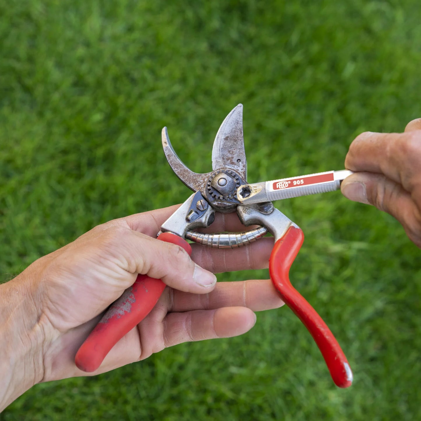 FELCO 905 3-in-1 Tool (Sharpen-Hone-Adjust)